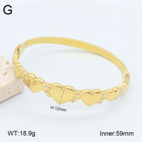 2BA402487vhkb-452  Stainless Steel Bangle