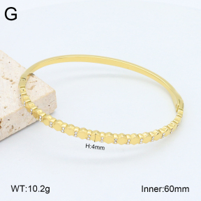 2BA402488vhkb-452  Stainless Steel Bangle