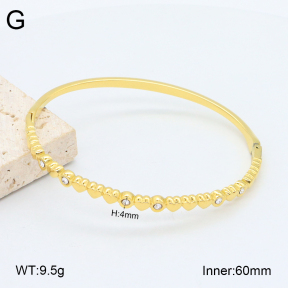 2BA402490vhkb-452  Stainless Steel Bangle