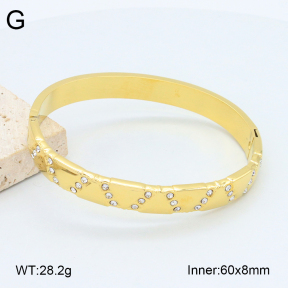 2BA402492vhkb-452  Stainless Steel Bangle