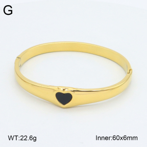 2BA402493vhkb-452  Stainless Steel Bangle