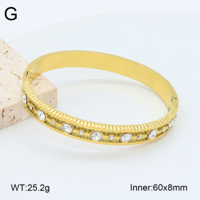 2BA402496vhkb-452  Stainless Steel Bangle