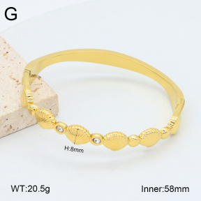 2BA402497vhkb-452  Stainless Steel Bangle