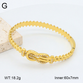 2BA402500vhkb-452  Stainless Steel Bangle