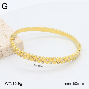 2BA402501vhkb-452  Stainless Steel Bangle