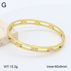 2BA402505vhkb-452  Stainless Steel Bangle