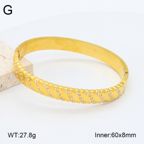 2BA402507vhkb-452  Stainless Steel Bangle