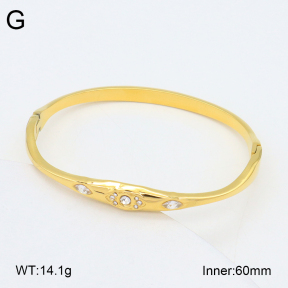 2BA402513vhkb-452  Stainless Steel Bangle