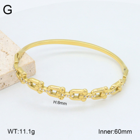 2BA402515vhkb-452  Stainless Steel Bangle