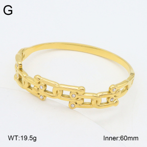 2BA402521vhkb-452  Stainless Steel Bangle