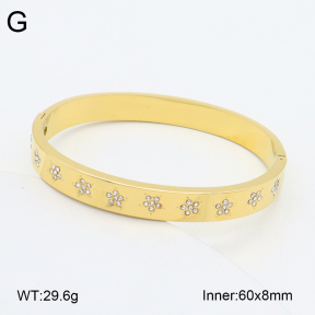 2BA402522vhkb-452  Stainless Steel Bangle