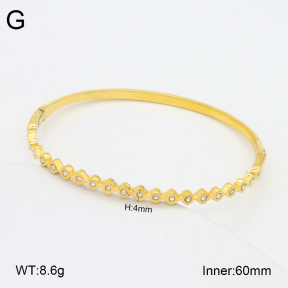 2BA402523vhkb-452  Stainless Steel Bangle