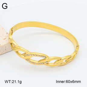 2BA402525vhkb-452  Stainless Steel Bangle