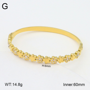 2BA402529vhkb-452  Stainless Steel Bangle