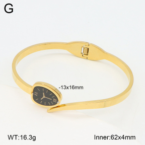 2BA402533bhva-377  Stainless Steel Bangle