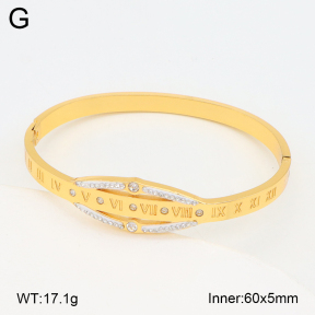 2BA402534bhva-377  Stainless Steel Bangle