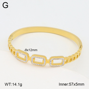 2BA402535vhha-377  Stainless Steel Bangle