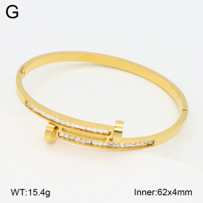 2BA402537bhva-377  Stainless Steel Bangle