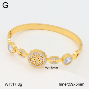 2BA402539vhha-377  Stainless Steel Bangle