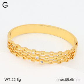 2BA402541vhha-377  Stainless Steel Bangle