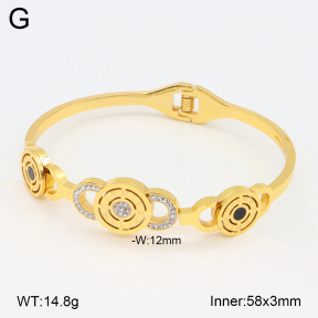 2BA402542bhva-377  Stainless Steel Bangle