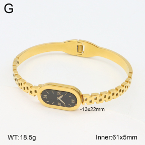 2BA402543vhha-377  Stainless Steel Bangle