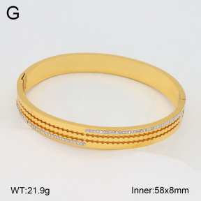 2BA402548vhha-377  Stainless Steel Bangle