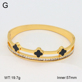 2BA402549vhha-377  Stainless Steel Bangle