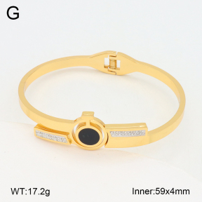 2BA402550bhva-377  Stainless Steel Bangle