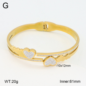 2BA402551bbov-377  Stainless Steel Bangle