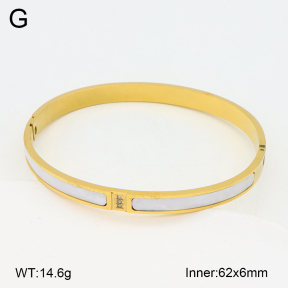 2BA402552vbpb-377  Stainless Steel Bangle