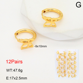 2E2006498akia-446  Stainless Steel Earrings