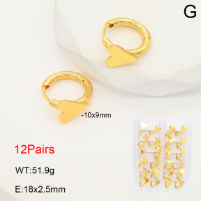 2E2006501akia-446  Stainless Steel Earrings