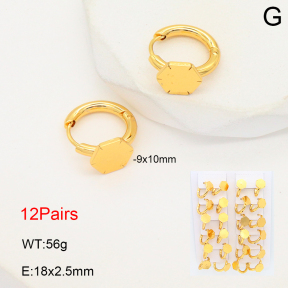 2E2006505akia-446  Stainless Steel Earrings