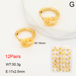 2E2006506akia-446  Stainless Steel Earrings