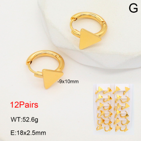 2E2006508akia-446  Stainless Steel Earrings