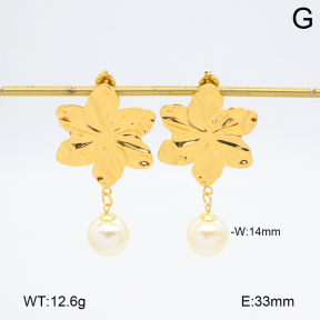 2E3003840aakl-446  Stainless Steel Earrings