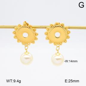 2E3003841aakl-446  Stainless Steel Earrings