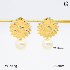 2E3003842aakl-446  Stainless Steel Earrings