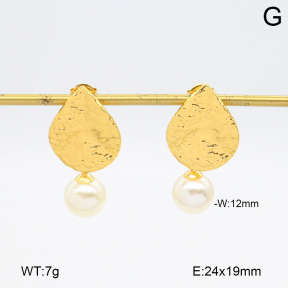 2E3003843aakl-446  Stainless Steel Earrings