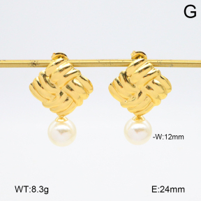 2E3003844aakl-446  Stainless Steel Earrings