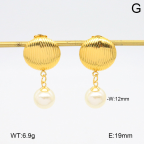 2E3003845aakl-446  Stainless Steel Earrings