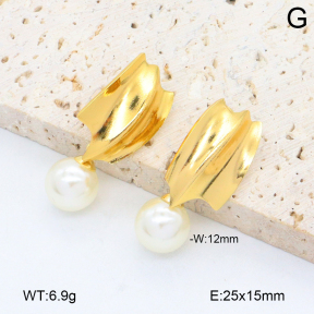 2E3003846aakl-446  Stainless Steel Earrings