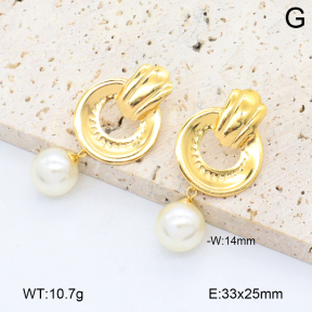 2E3003847aakl-446  Stainless Steel Earrings
