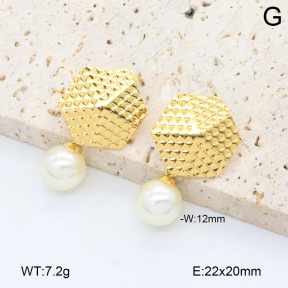 2E3003848aakl-446  Stainless Steel Earrings