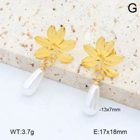 2E3003850aakl-446  Stainless Steel Earrings