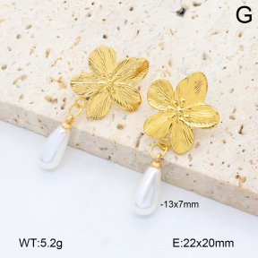 2E3003851aakl-446  Stainless Steel Earrings