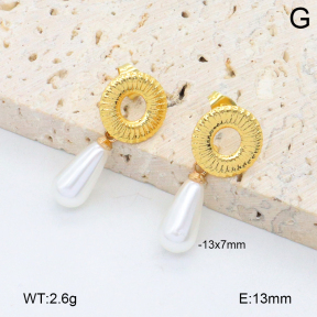 2E3003852aakl-446  Stainless Steel Earrings