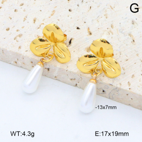 2E3003853aakl-446  Stainless Steel Earrings