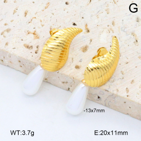 2E3003854aakl-446  Stainless Steel Earrings